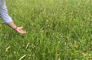 Defra